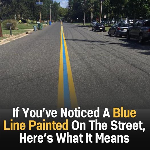 If you’ve ever see a blue line painted on the street, here’s what it means