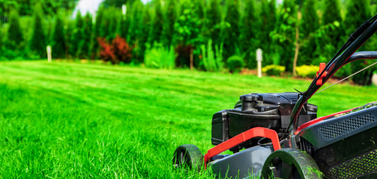 STORY: When My Neighbor Refused to Pay My Son for Mowing the Lawn, She Had No Idea What Revenge Was Coming