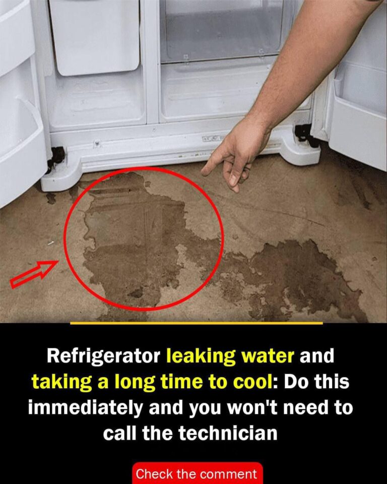 Refrigerator leaking water and taking a long time to cool: Do this immediately and you won’t need to call the technician