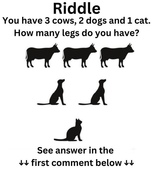 How many legs do you have with 3 cows, 2 dogs, and 1 cat?