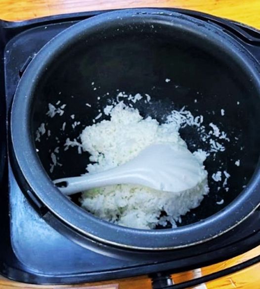 Is It Safe to Eat Rice Left in a Rice Cooker Overnight?