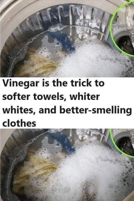 Vinegar is the secret to softer towels, whiter whites, and other laundry solutions