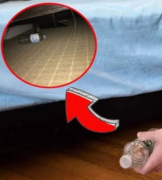 Here’s why you should place a bottle of water under your hotel bed the moment you check in!