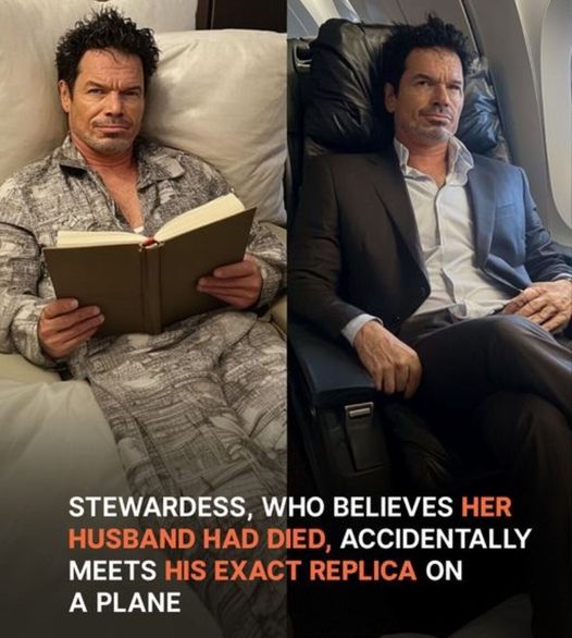 After Husband’s Death, Stewardess Runs into Man Who Looks Exactly like Him on the Plane — Story of the Day