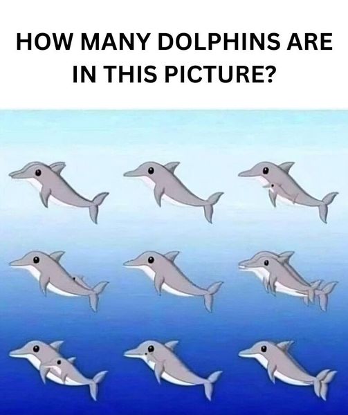 How Many Dolphins Do You See? Everyone Is Getting This Wrong