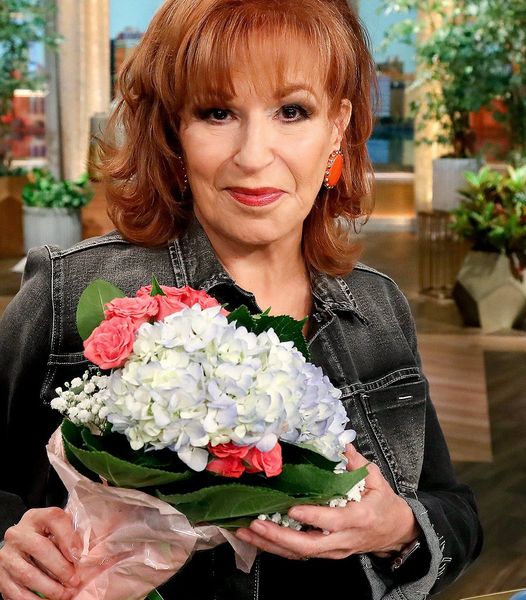 Joy Behar Married A Younger Man After Dating For 29 Years