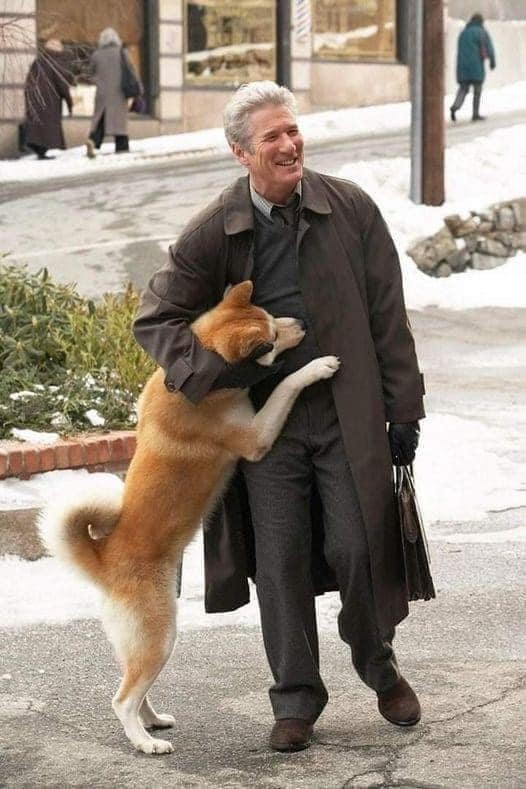 Rare Pictures Of Hachiko Waiting For His Owner Have Surfaced