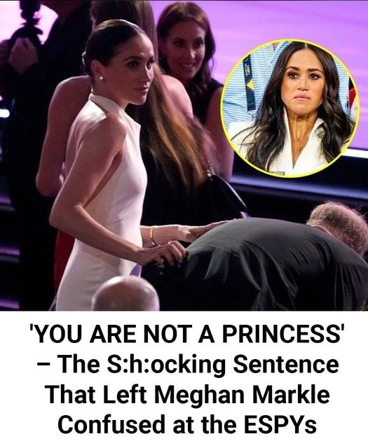 Meghan Markle Was Shocked When Someone Yelled: “You Are Not A Princess”