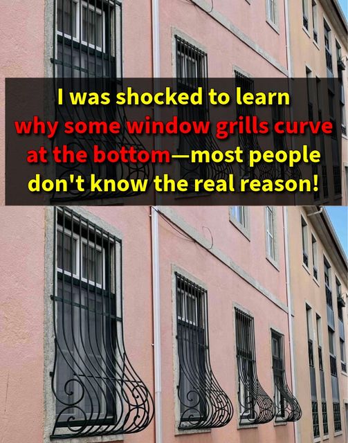 Some Window Grills Curve: Here’s Why