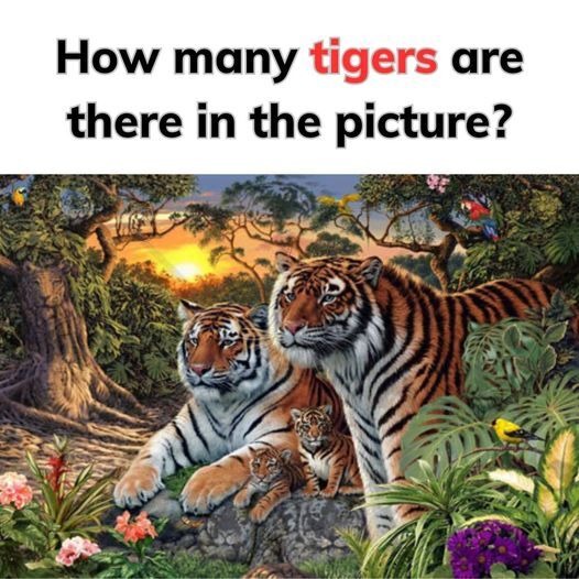 Nobody Can See Every Tiger Hiding In The Picture