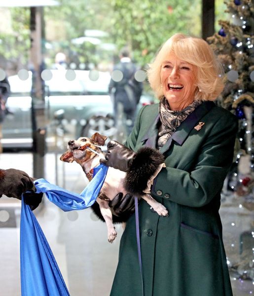 Queen Camilla “heartbroken” after death of her beloved rescue dog Beth — rest in peace