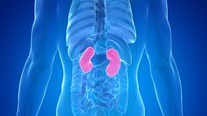 10 Warning Signs Your Kidneys May Be in Danger