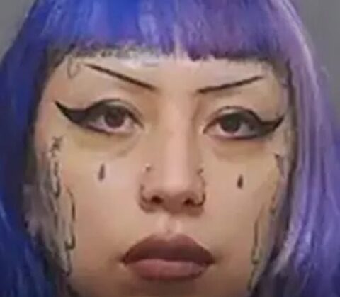 Mother allegedly helped 13-year-old son plan school shooting ‘as a reward for babysitting’ as shocking new details emerge