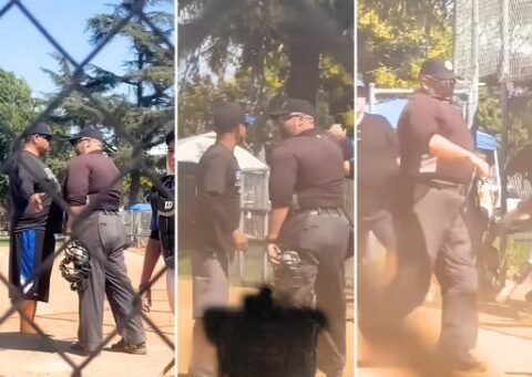 GAVE COACH A JET2 HOLIDAY Coach Calls Umpire A ‘B*tch’ During A Kids’ Baseball Game And Catches A Vicious Beatdown In Front Of The Whole Team!