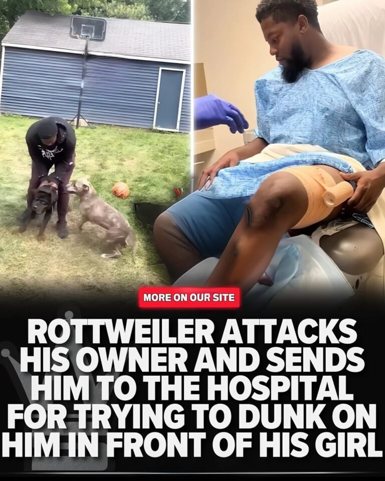 HOOP GAME GONE WRONG Man Tries To Dunk On His Rottweiler In Front Of His Girl, And The Dog Humbled Him By Sending Him To The Hospital!