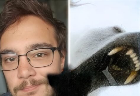 NATURE’S LAST WARNING Photographer Mauled After Chasing The Perfect Shot… Polar Bear Turned His Lens Into A Last Goodbye (Commentary)