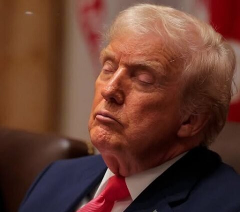 Donald Trump branded ‘commander in sleep’ after appearing to fall asleep in cabinet meeting